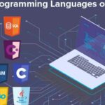 The Top Programming Languages for Modern Software Development - Blue Brony
